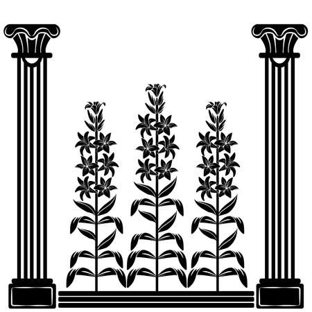 Graphic element Flourishes vectorのイラスト素材