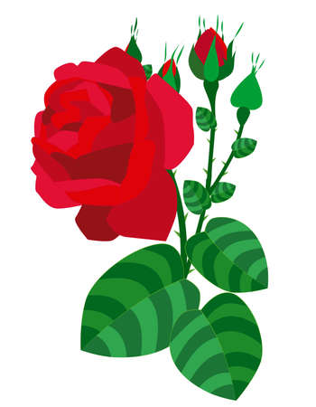 flower red rose vectorのイラスト素材