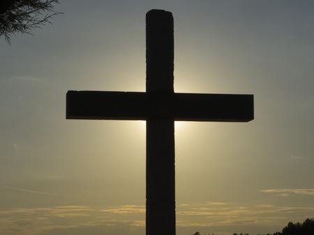 A cross between two trees. Rays of the sun behind a Holy Cross.の写真素材