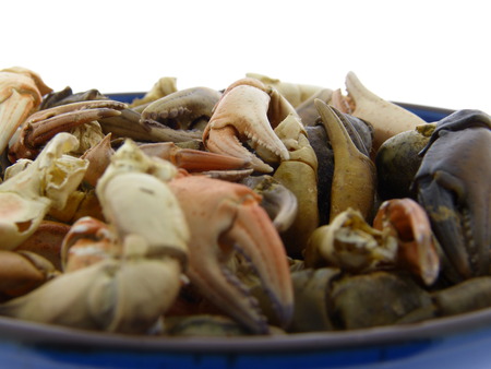 Nippers of crabs, white background