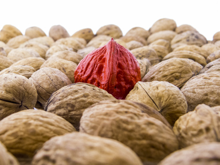 Juglans regia - tasty walnuts - close-upの写真素材