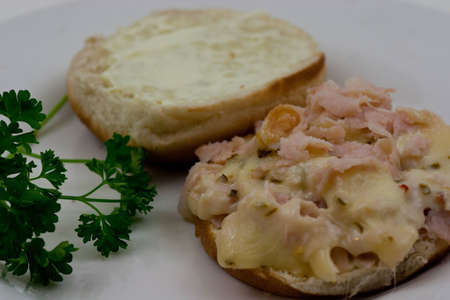 Croped viewof an Open faced chicken sandwich on a bunn with a sprig of parsely.の写真素材
