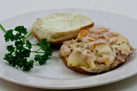 Open faced chicken sandwich on a bunn with a sprig of parsely.の写真素材