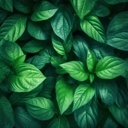 Green leaves background. Nature and environment concept. Flat lay, top viewの素材
