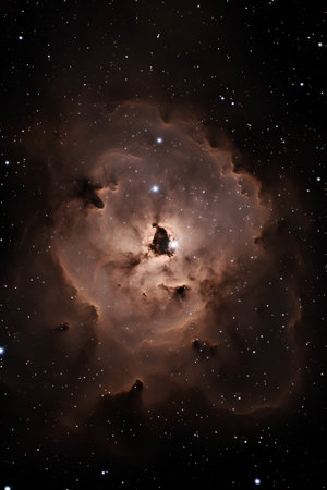 Star field in space a nebulae and a gas congestion.の素材