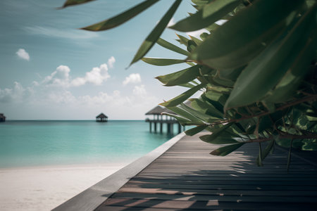 Beautiful tropical Maldives resort hotel and island with beach and seaの素材