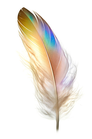 Feather of a bird on a white background, close-upの素材