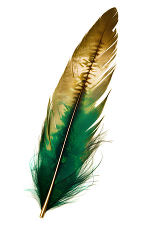Colorful feather isolated on white background, closeup. Bird featherの素材