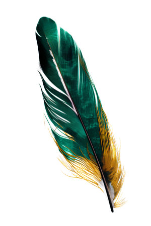 feather of a bird on a white isolated background. colored feathersの素材