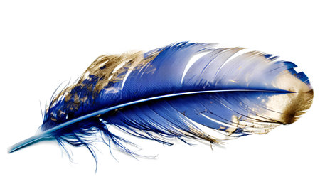 Blue feather isolated on white background. Closeup of bird feather.の素材