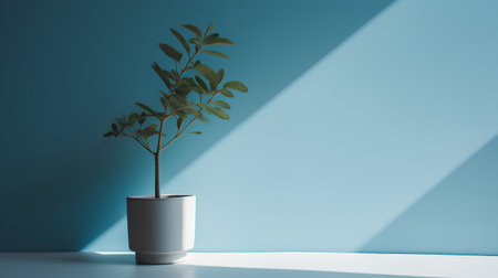 3d render, white plant in a pot on a blue wallの素材