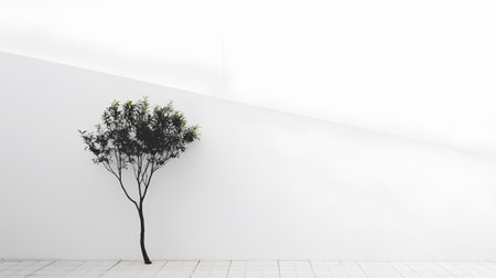 Tree on white wall. Minimalistic interior design. 3D renderの素材