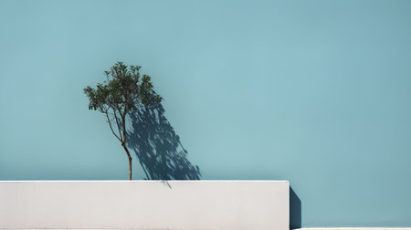 Tree shadow on a blue wall. Minimalistic style. 3d renderingの素材