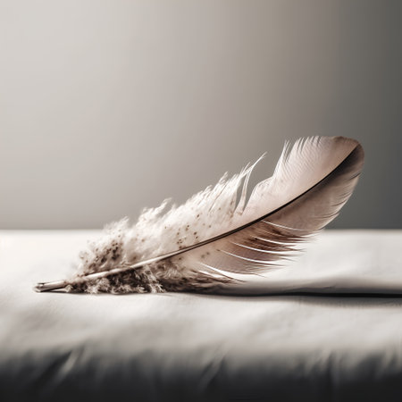 feather of a bird on a white cloth, soft focus backgroundの素材