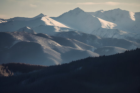 Beautiful winter landscape with snow-capped mountains. Toned.の素材