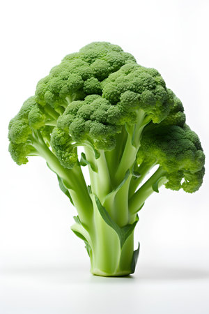 Fresh green broccoli isolated on white background. 3d render illustration.の素材