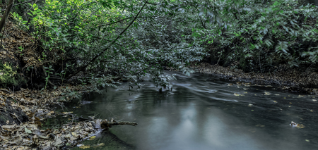 Stream under the bride in Virginia Water, Surrey, United Kingdom
