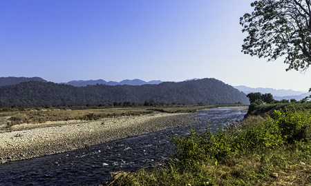 Panorama of Ramganga River in Jim Corbett National Park, Indiaの写真素材