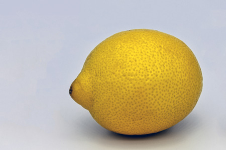 Lemon fruit (Citrus limon)の写真素材