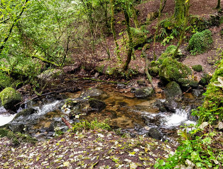 Kennall river in Kennall Vale Nature Reserve, Ponsanooth, Cornwall, United Kingdom