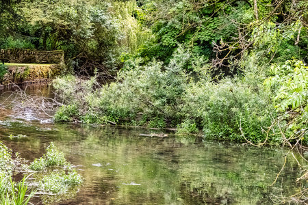 River Coln - Bibury, Gloucestershire, United Kingdomの写真素材