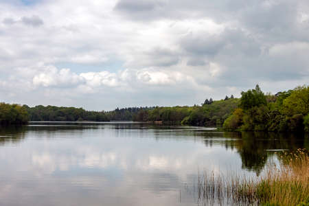 Virginia Water Lake in Windsor Great Park, United Kingdomの写真素材
