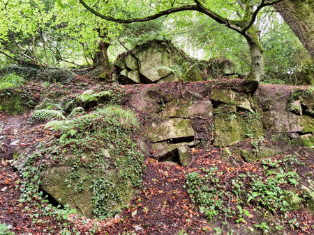 Kennall Vale Nature Reserve, Ponsanooth, Cornwall, United Kingdomの写真素材