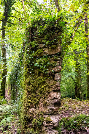 Kennall Vale Nature Reserve, Ponsanooth, Cornwall, United Kingdomの写真素材