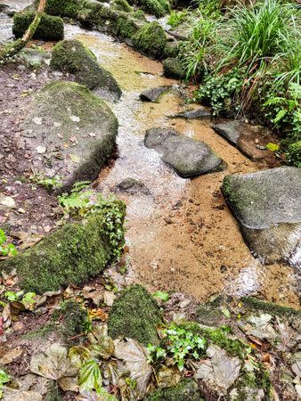 Kennall River in Kennall Vale Nature Reserve, Ponsanooth, Cornwall, United Kingdomの写真素材