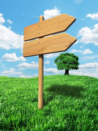 Wooden signpost in valley  background の写真素材