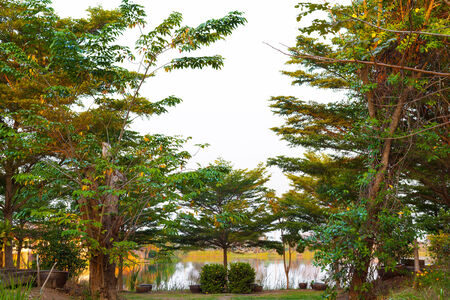 natural parkの写真素材