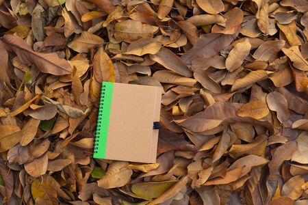brown cover notebook on dry leafの写真素材