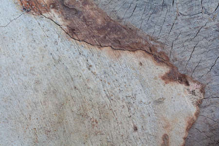 wood texture backgroundの写真素材
