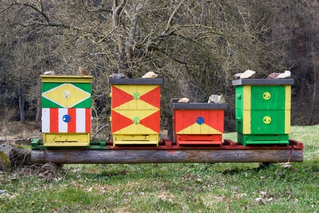 Four colored beehives in the natureの写真素材