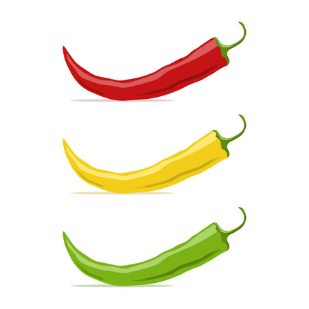 Set of chilli pepper - red, yellow, green. Mexican jalapeno hot spicy peppers. Spice ingredient of food. Template design for food presentation or menu. Vector illustrationのイラスト素材