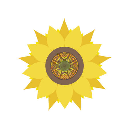 Sunflower head icon. Floral logo design. Summer garden or field plant with yellow petals and sunflower seeds. Vector illustrationのイラスト素材