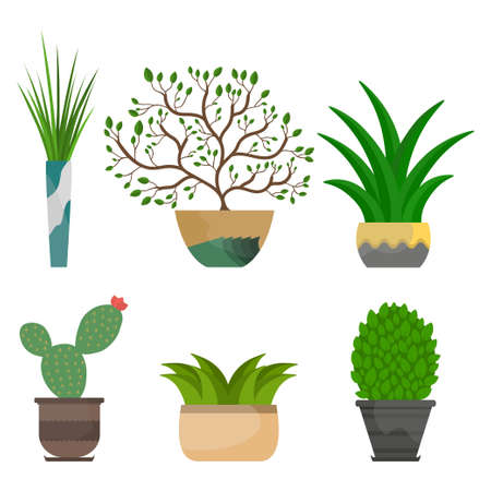 Set of indoor plants in pots. Colorful house plant in pot icon. Vector illustrationのイラスト素材