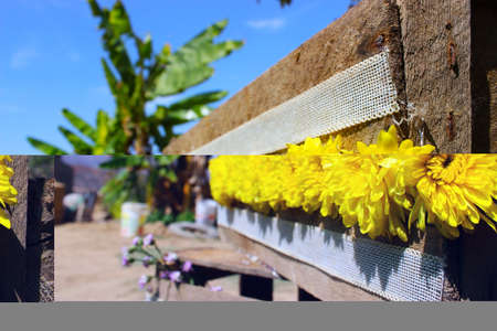 Box with flowers