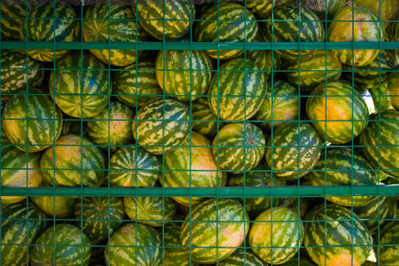 Many watermelons in a trade cart in a marketの写真素材