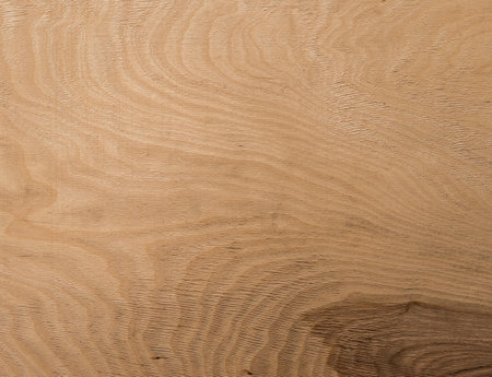 Texture of wood background closeup.の写真素材