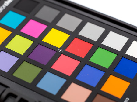 Color Swatches Colorful Palette Design Paint Concept