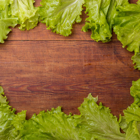 Cos lettuce isolated on wood board.の写真素材
