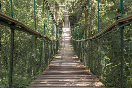 Rope walkway through the treetops in a rain forest.