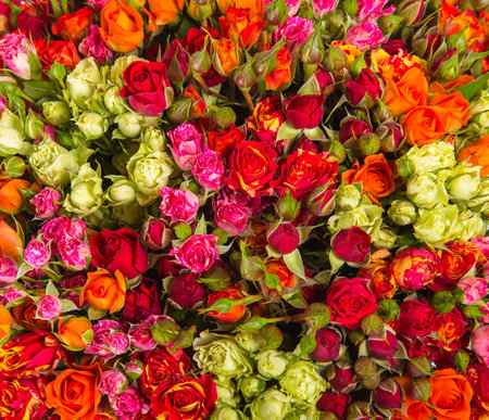 Small roses bouquet close up.の写真素材