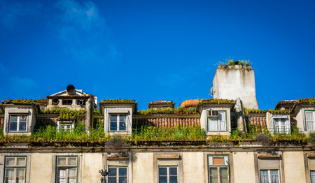 scene in portugalの写真素材