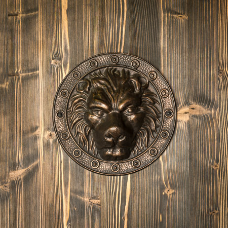 Vintage brass door knocker - lion head, decorative detail on the front doorの写真素材