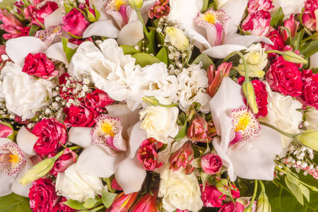 Abstract background of flowers close-up.の写真素材