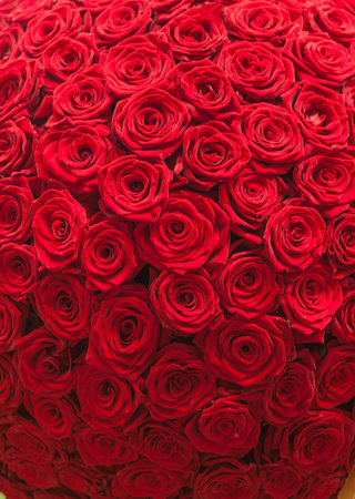 Natural red roses background patternの写真素材