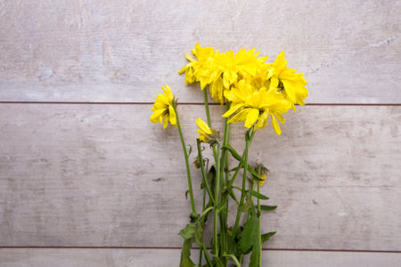 Dried yellow flowers on rustic wooden planks.の写真素材