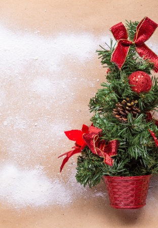 Christmas background with snow fir tree.の写真素材